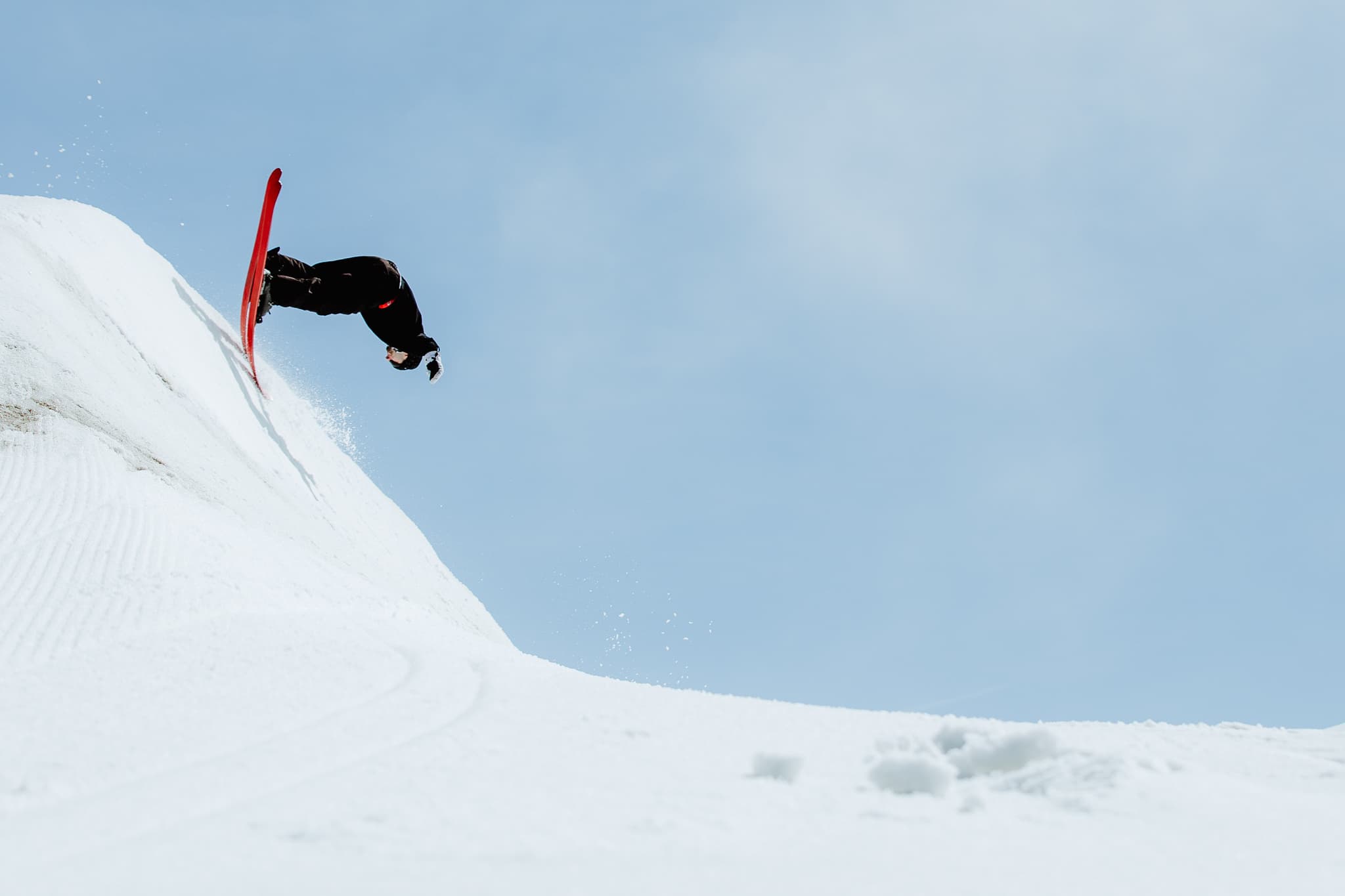 Alex Hackel